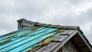 Jaki kolor dachu