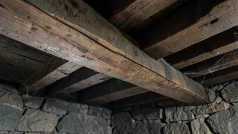 Jaki strop nad piwnicą