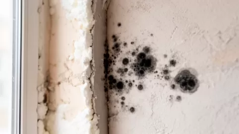 czy po ociepleniu domu zniknie grzyb