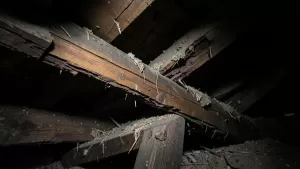 Czy Strop Drewniany Może Się Zawalić
