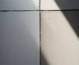 Czym się różni jastrych od betonu
