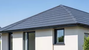 Dach antracyt jakie okna