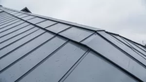 Jaka blacha na dach jednospadowy