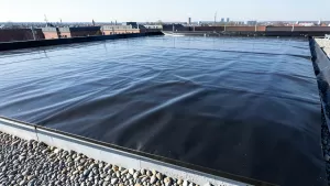 Jaka papa na dach płaski