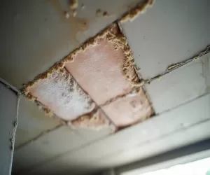 Koszt ocieplenia stropu betonowego