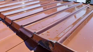 Najlepsza farba na dach z blachy