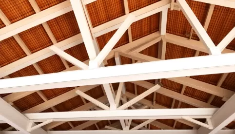 Strop Ackermana cena za m2