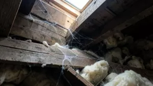 Z czego podłoga na strychu